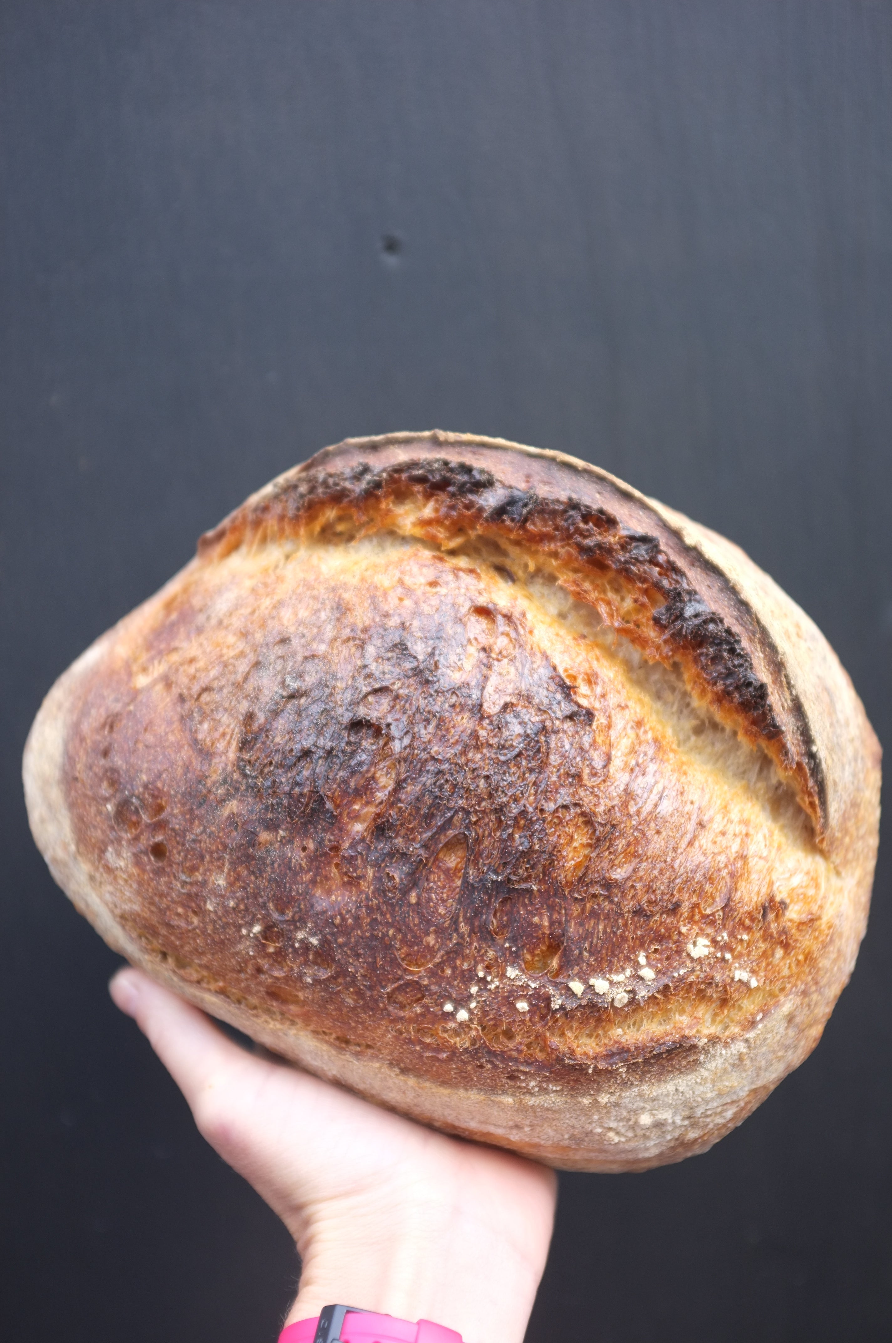 House Sourdough